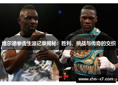 维尔德拳击生涯记录揭秘：胜利、挑战与传奇的交织