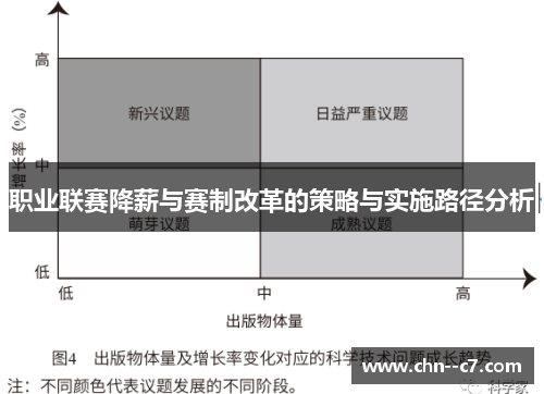 职业联赛降薪与赛制改革的策略与实施路径分析