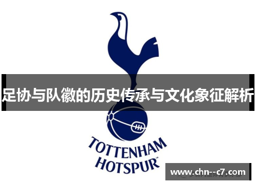 足协与队徽的历史传承与文化象征解析
