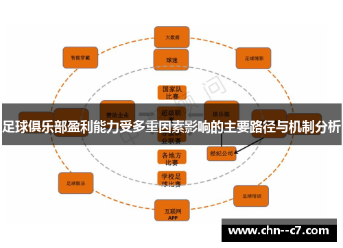 足球俱乐部盈利能力受多重因素影响的主要路径与机制分析 足球俱乐部盈利能力受多重因素影响的主要路径与机制分析