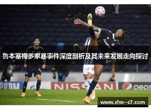 鲁本塞梅多家暴事件深度剖析及其未来发展走向探讨