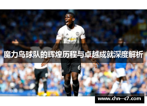 魔力鸟球队的辉煌历程与卓越成就深度解析