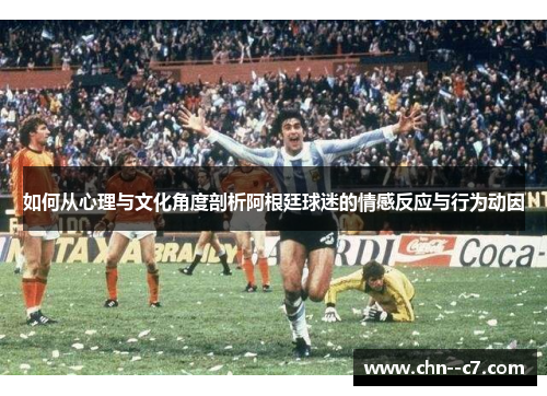 如何从心理与文化角度剖析阿根廷球迷的情感反应与行为动因