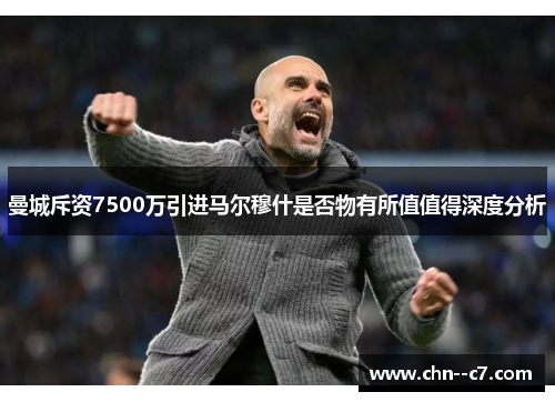 曼城斥资7500万引进马尔穆什是否物有所值值得深度分析