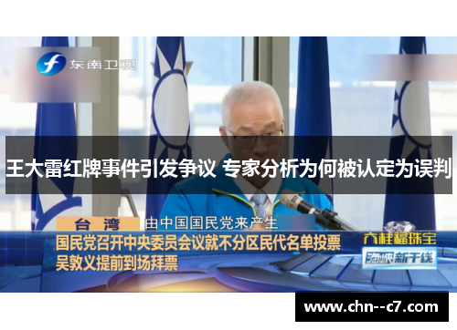 王大雷红牌事件引发争议 专家分析为何被认定为误判
