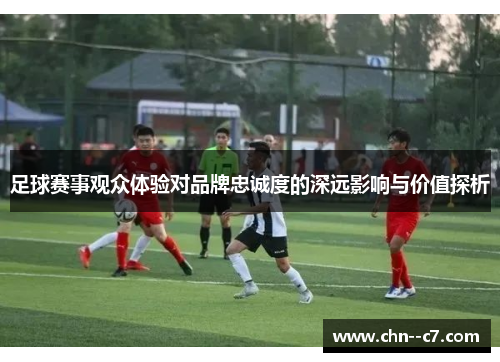 足球赛事观众体验对品牌忠诚度的深远影响与价值探析