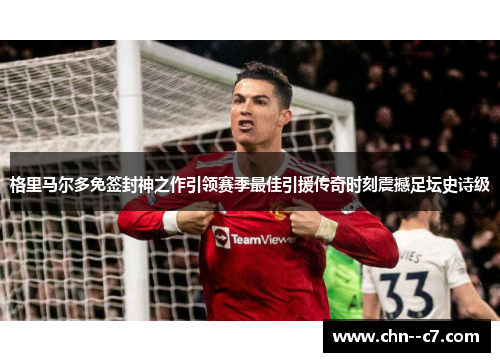 格里马尔多免签封神之作引领赛季最佳引援传奇时刻震撼足坛史诗级