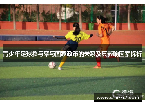 青少年足球参与率与国家政策的关系及其影响因素探析